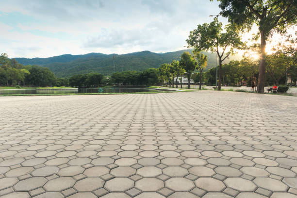 Best Driveway Pavers Near Me  in Hernando Beach, FL